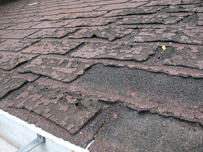 summer house roof inspection